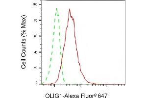 Flow cytometric analysis of OLIG1 expression in HepG2 cells using OLIG1 antibody (ABIN7799700), 1:2,000). (Rekombinanter OLIG1 Antikörper)