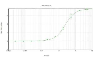 ELISA Results of Rabbit Anti-Mutarotase Antibody Biotin Conjugated tested against purified Mutarotase. (Mutarotase Antikörper (Biotin))