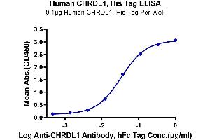 ELISA image for Chordin-Like 1 (CHRDL1) (AA 28-456) protein (His tag) (ABIN7274317)