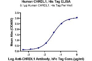 Immobilized Human CHRDL1, His Tag at 1 μg/mL (100 μL/Well) on the plate. (CHRDL1 Protein (AA 28-456) (His tag))