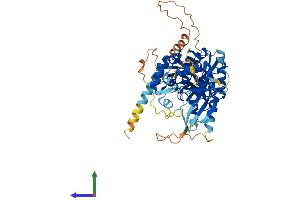 Protein Structure (PS) image for Lengsin, Lens Protein with Glutamine Synthetase Domain (LGSN) (AA 1-509) protein (His tag) (ABIN7549059)