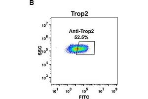 Flow Cytometry (FACS) image for anti-Tumor-Associated Calcium Signal Transducer 2 (TACSTD2) (AA 27-274) antibody (ABIN7092875) (TACSTD2 Antikörper  (AA 27-274))