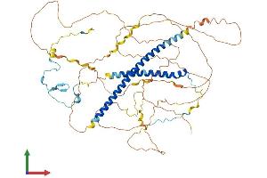 Protein Structure (PS) image for Male-Specific Lethal 1 Homolog (MSL1) (AA 1-614) protein (His tag) (ABIN7554628)