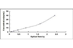 Typical standard curve (PCOLCE ELISA Kit)