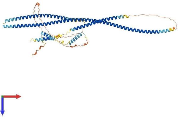 TRAF3IP3 Protein (AA 1-551) (His tag)