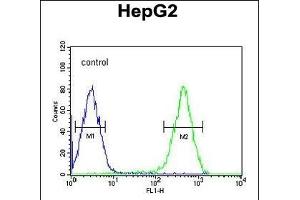 ATXN2L Antibody (C-term) (ABIN651376 and ABIN2840210) flow cytometric analysis of HepG2 cells (right histogram) compared to a negative control cell (left histogram). (Ataxin 2-Like Antikörper  (C-Term))