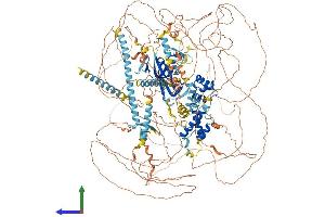 Protein Structure (PS) image for Arginine-Glutamic Acid Dipeptide (RE) Repeats (RERE) (AA 1-1566) protein (His tag) (ABIN7555142)