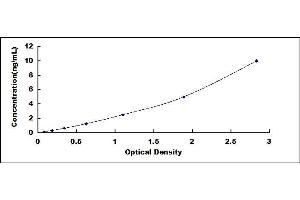 Typical standard curve (CELA2A ELISA Kit)