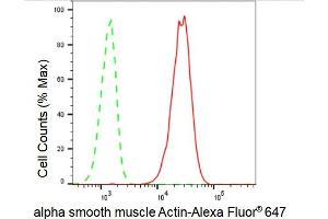 Flow cytometric analysis of alpha smooth muscle Actin expression in C2C12 cells using alpha smooth muscle Actin antibody (ABIN7797465), 1:2,000). (Rekombinanter Smooth Muscle Actin Antikörper)