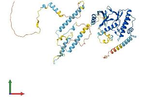 AlphaFold protein structure predicition of Human Recombinant RIOK3 Protein, UniprotID O14730