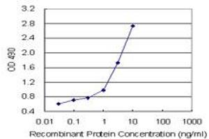 TNFRSF17 (Human) Matched Antibody Pair