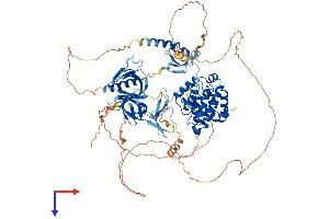 ARHGAP12 Protein (AA 1-846) (His tag)