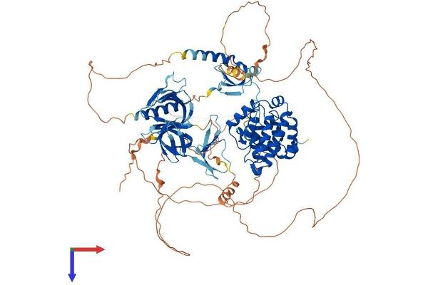 ARHGAP12 Protein (AA 1-846) (His tag)