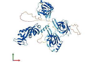 AlphaFold protein structure predicition of Mouse Recombinant Rpa1 Protein, UniprotID Q8VEE4
