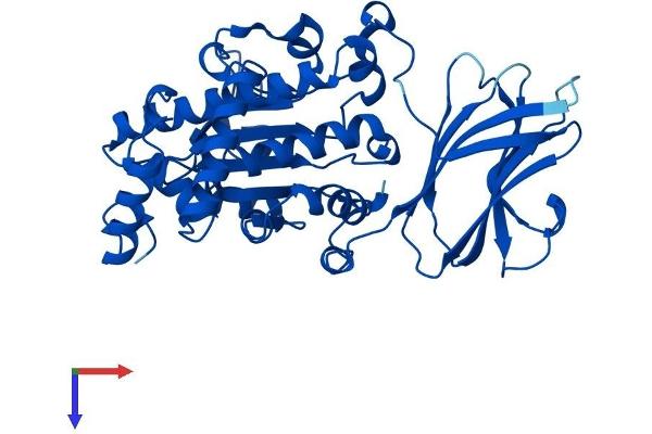 SEC14L3 Protein (AA 1-400) (His tag)