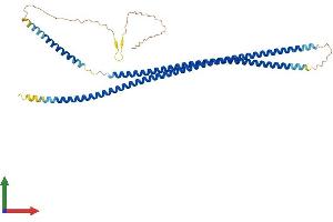 Protein Structure (PS) image for Keratin 19 (KRT19) (AA 1-400) protein (His tag) (ABIN7548615)