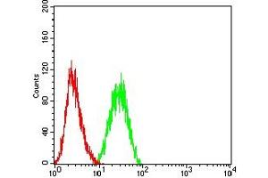 Flow cytometric analysis of THP-1 cells using CD34 mouse mAb (green) and negative control (red). (CD34 Antikörper  (AA 32-290))