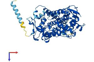 CYP2F1 Protein (AA 1-491) (His tag)