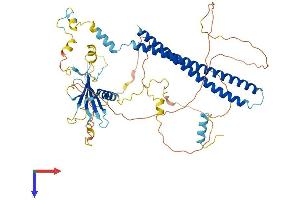 PALMD Protein (AA 1-551) (His tag)