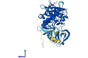 Protein Structure (PS) image for PTK6 Protein tyrosine Kinase 6 (PTK6) (AA 1-451) protein (His tag) (ABIN7563991)