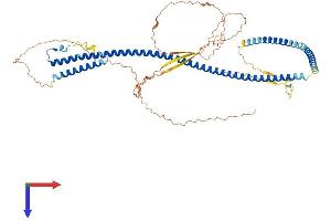 POF1B Protein (AA 1-589) (His tag)