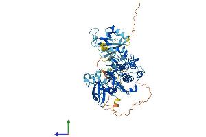 Protein Structure (PS) image for Protein Kinase C, zeta (PRKCZ) (AA 1-592) protein (His tag) (ABIN7563584)