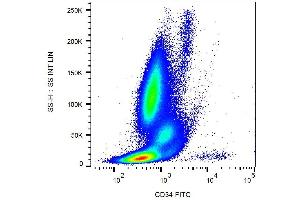 Surface staining of CD34+ cells in human peripheral blood with anti-CD34 (581) FITC. (CD34 Antikörper  (FITC))