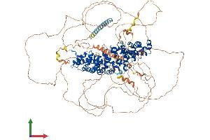AlphaFold protein structure predicition of Human Recombinant CTNND2 Protein, UniprotID Q9UQB3
