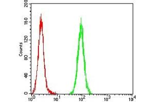 Flow Cytometry (FACS) image for anti-Wilms Tumor 1 (WT1) (AA 1-181) antibody (ABIN7193614)