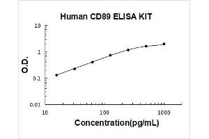 Fc Fragment of IgA, Receptor For (FCAR) ELISA Kit