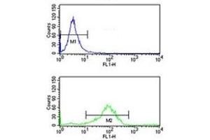 Flow Cytometry (FACS) image for anti-RAB7A, Member RAS Oncogene Family (RAB7A) (AA 176-204) antibody (ABIN3032425)