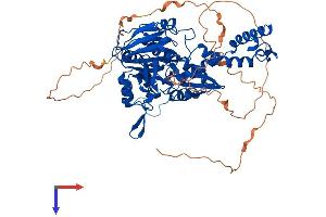 C14orf169 + NO66 Protein (AA 1-641) (His tag)