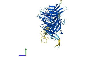 AlphaFold protein structure predicition of Human Recombinant NUDCD1 Protein, UniprotID Q96RS6