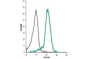 Flow Cytometry (FACS) image for anti-Potassium Intermediate/small Conductance Calcium-Activated Channel, Subfamily N, Member 4 (KCNN4) (Extracellular) antibody (Biotin) (ABIN7043464)