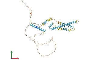 Protein Structure (PS) image for Calcium Modulating Ligand (CAMLG) (AA 1-296) protein (His tag) (ABIN7552895)