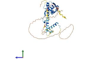 AlphaFold protein structure predicition of Mouse Recombinant Rbm48 Protein, UniprotID Q8K2X2 (C7orf64 Protein (AA 1-371) (His tag))
