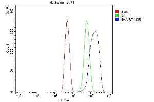 Flow Cytometry analysis of SiHa cells using anti-Inhibin alpha/INHA antibody (ABIN7600932).