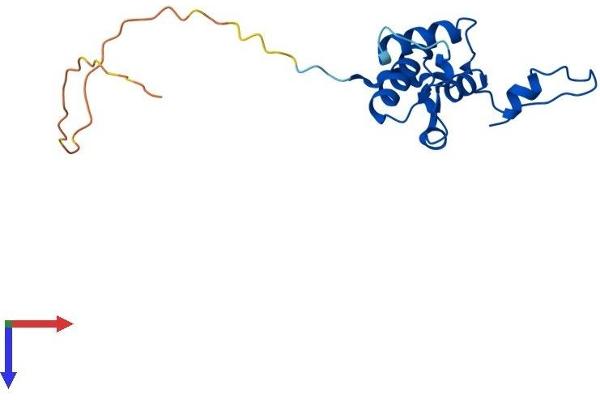 MRPL50 Protein (AA 1-159) (His tag)
