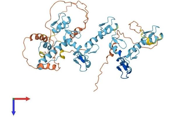 ZNF582 Protein (AA 1-517) (His tag)