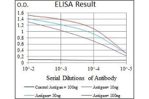 Red: Control Antigen (100 ng), Purple: Antigen (10 ng), Green: Antigen (50 ng), Blue: Antigen (100 ng), (HNRNPU Antikörper)