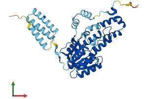 Protein Structure (PS) image for Hydroxysteroid (11-Beta) Dehydrogenase 2 (HSD11B2) (AA 1-386) protein (His tag) (ABIN7563388)