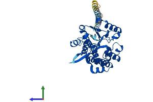 Protein Structure (PS) image for Heparan Sulfate 2-O-Sulfotransferase 1 (HS2ST1) (AA 1-356) protein (His tag) (ABIN7548313)