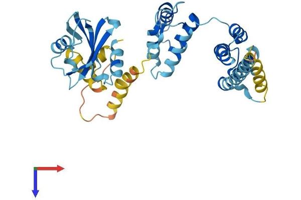 PNMA1 Protein (AA 1-353) (His tag)