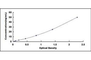 Typical standard curve (MDH2 ELISA Kit)
