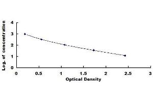 Neurokinin A ELISA Kit