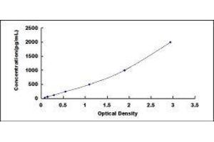 ELISA image for Prolactin (PRL) ELISA Kit (ABIN414077)