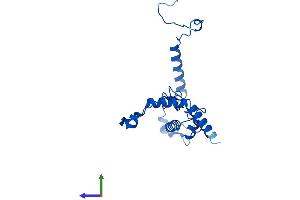Protein Structure (PS) image for Ribosomal Protein L13 (RPL13) (AA 1-211) protein (His tag) (ABIN7563301)