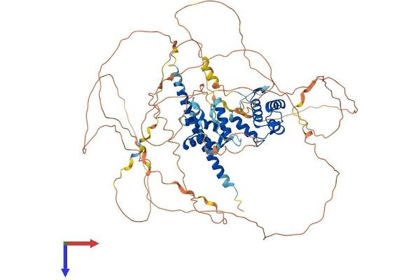 REPS1 Protein (AA 1-795) (His tag)