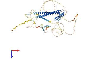 URI1 Protein (AA 1-535) (His tag)