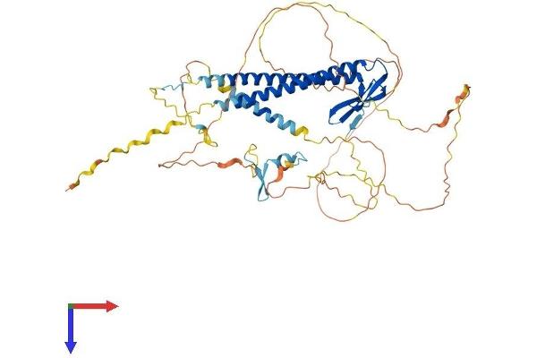 URI1 Protein (AA 1-535) (His tag)